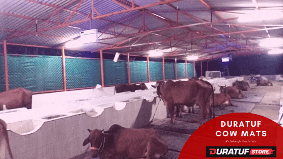 cow mats manufacturer in India