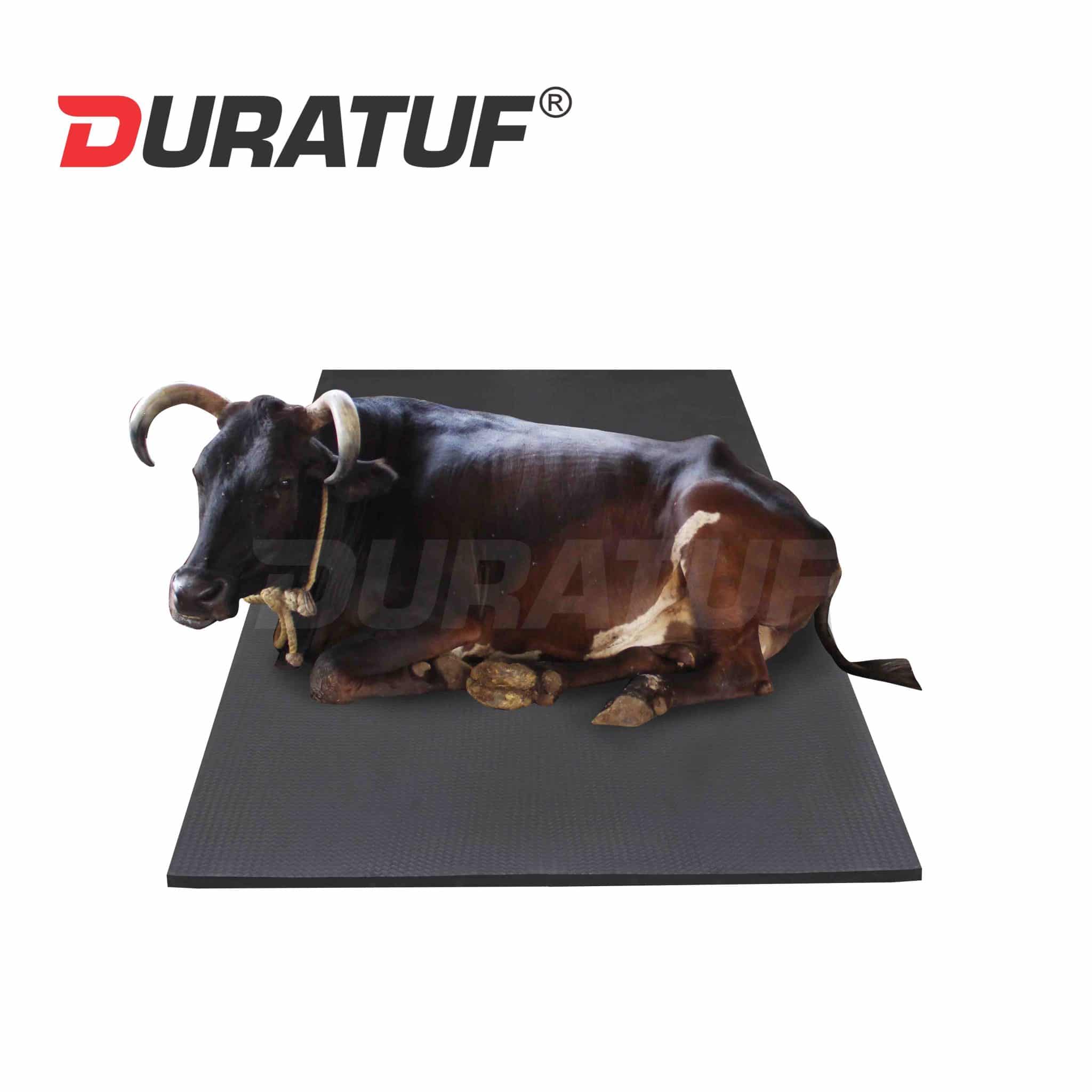 Cow Mats, Buffalo Mats & Dairy Mats Duratuf Store Buy Online